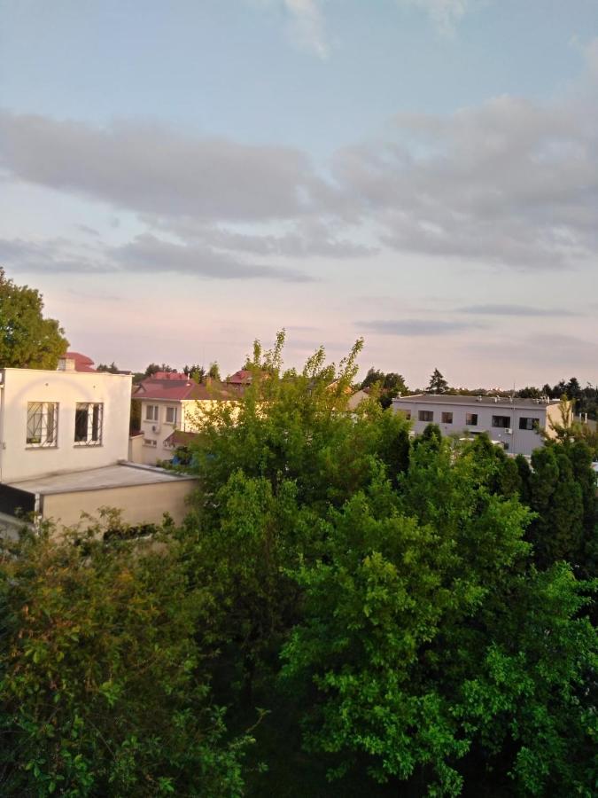 Bed and Breakfast La Madriguera Raszyn Zewnętrze zdjęcie