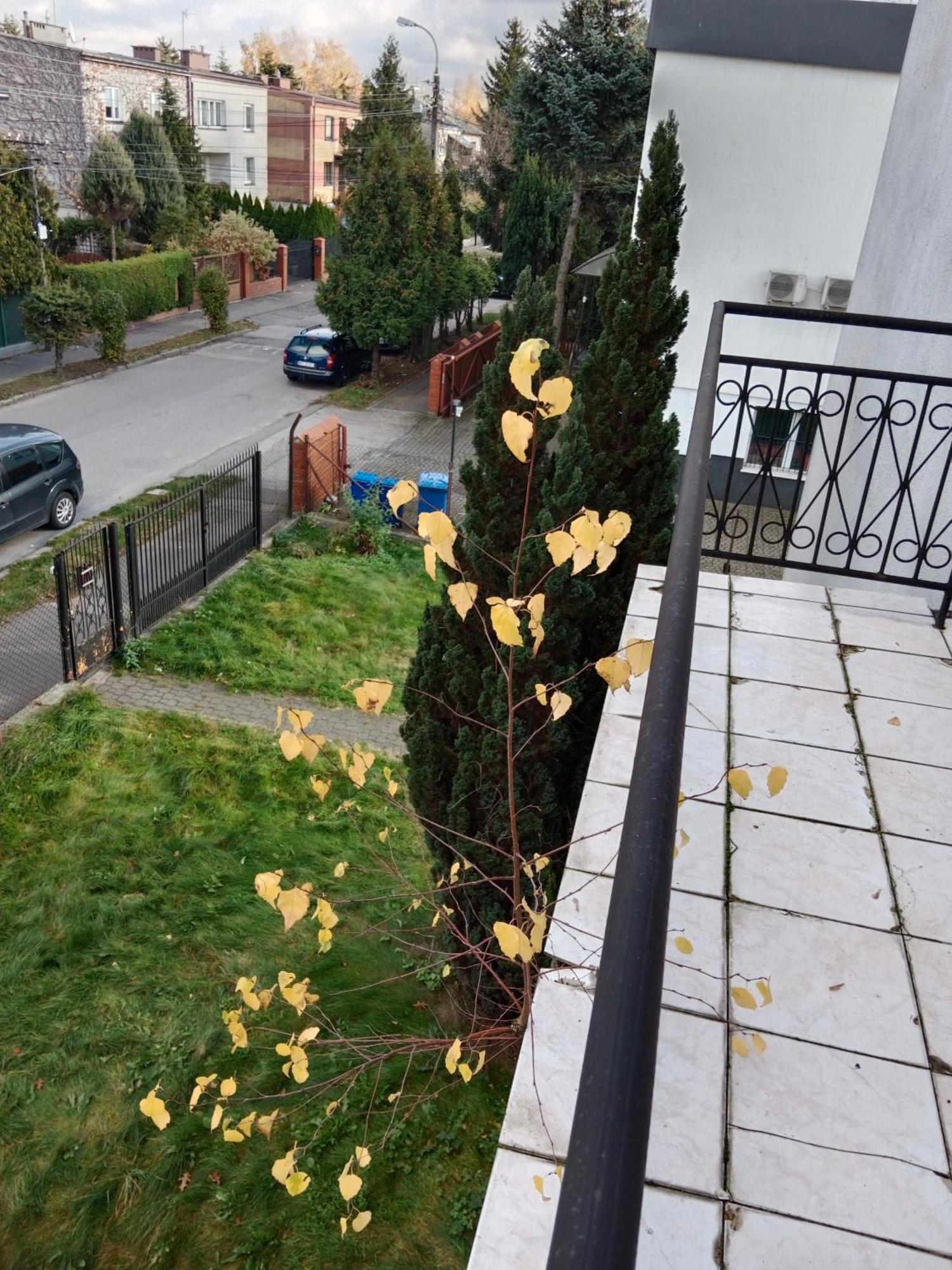 Bed and Breakfast La Madriguera Raszyn Zewnętrze zdjęcie